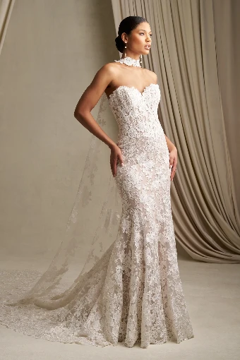 Allure Bridals C808 #0 default Champagne/Nude/Ivory thumbnail